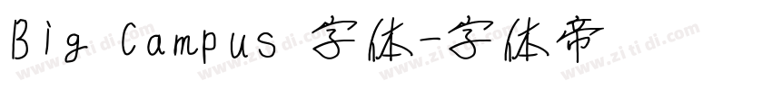 Big Campus 字体字体转换